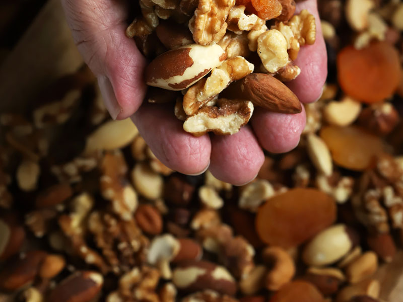 Recolección de frutos secos Recolección de frutos secos